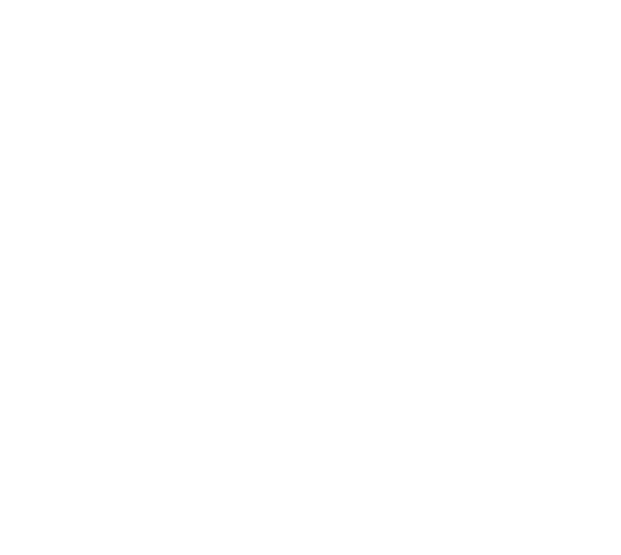 Anima Digital